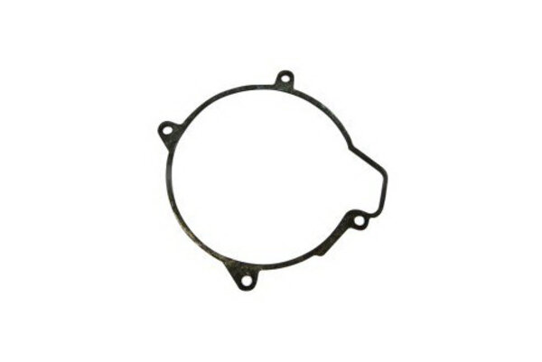 Прокладка возд нагнетателя камеры сгорания B4/D3/D4 251822010003 | EBERSPACHER